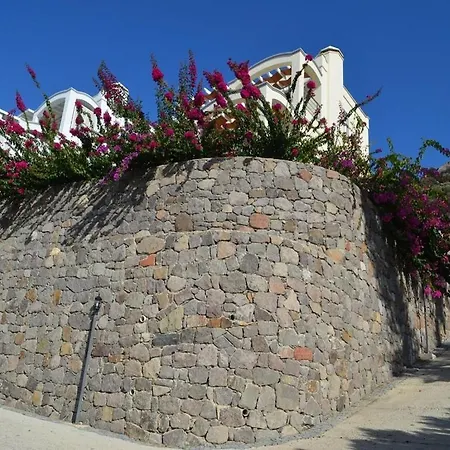 Luxury Rent Seaview In With 3 Bedroomed *